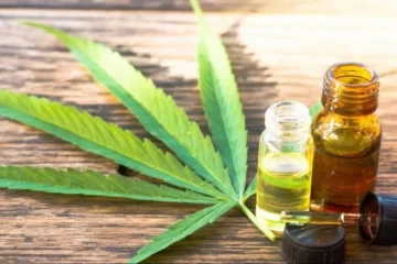 Cannabis medicinal: las respuestas positivas a la epilepsia refractaria superaron el 80%