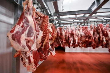 Lanzan créditos por $10.000 millones para incentivar la producción de carne Lanzan créditos por $10.000 millones para incentivar la producción de carne