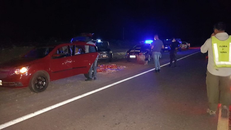 Los matarifes advirtieron que peligra el abastecimiento de carne para los próximos días Los matarifes advirtieron que peligra el abastecimiento de carne para los próximos días