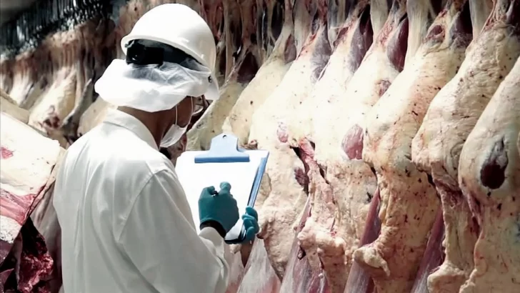 Luego de 17 años, Argentina volverá a exportar carne a Estados Unidos