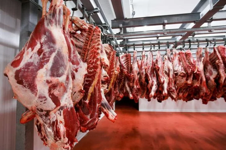Finalmente, los frigoríficos seguirán vendiendo cortes populares más baratos