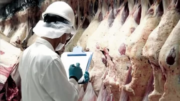 El Gobierno se encamina a flexibilizar las exportaciones de carne vacuna El Gobierno se encamina a flexibilizar las exportaciones de carne vacuna