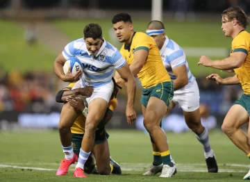 Los Pumas descendieron al séptimo lugar del ranking mundial Los Pumas descendieron al séptimo lugar del ranking mundial