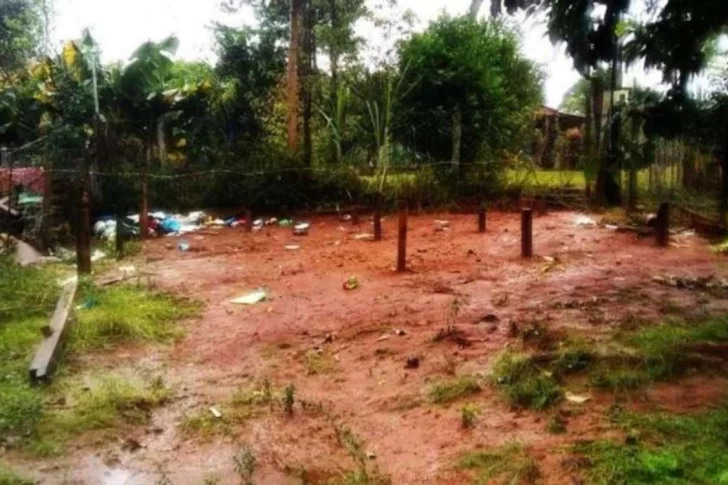 Regresaron a su casa tras un viaje y se encontraron con el terreno vacío
