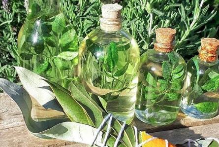 ¿Por qué se toma caña con ruda el 1 de agosto?