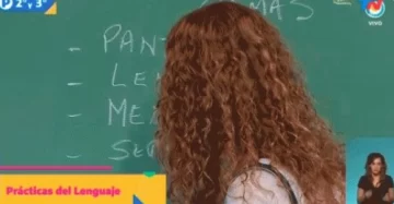 Video: “Cepillo” con “s”, otro error ortográfico en la TV Pública Video: “Cepillo” con “s”, otro error ortográfico en la TV Pública