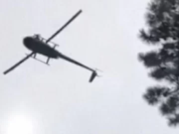 Tiraron un cerdo desde un helicóptero a una pileta y generaron indignación Tiraron un cerdo desde un helicóptero a una pileta y generaron indignación