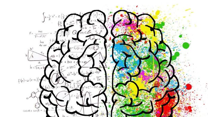 Hábitos cotidianos ayudan a fortalecer el cerebro