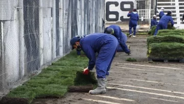 ¿Resembrado o panes de césped? Las alternativas para recuperar la localía en Puyuta ¿Resembrado o panes de césped? Las alternativas para recuperar la localía en Puyuta