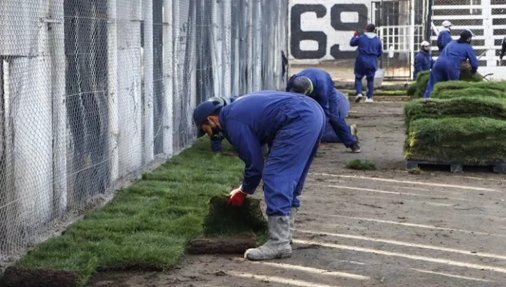 ¿Resembrado o panes de césped? Las alternativas para recuperar la localía en Puyuta ¿Resembrado o panes de césped? Las alternativas para recuperar la localía en Puyuta