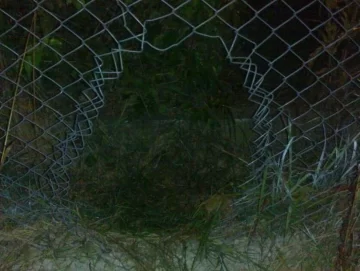 Rompió un alambrado y robó hierro: deberá pagar una multa y hacer tareas comunitarias Rompió un alambrado y robó hierro: deberá pagar una multa y hacer tareas comunitarias