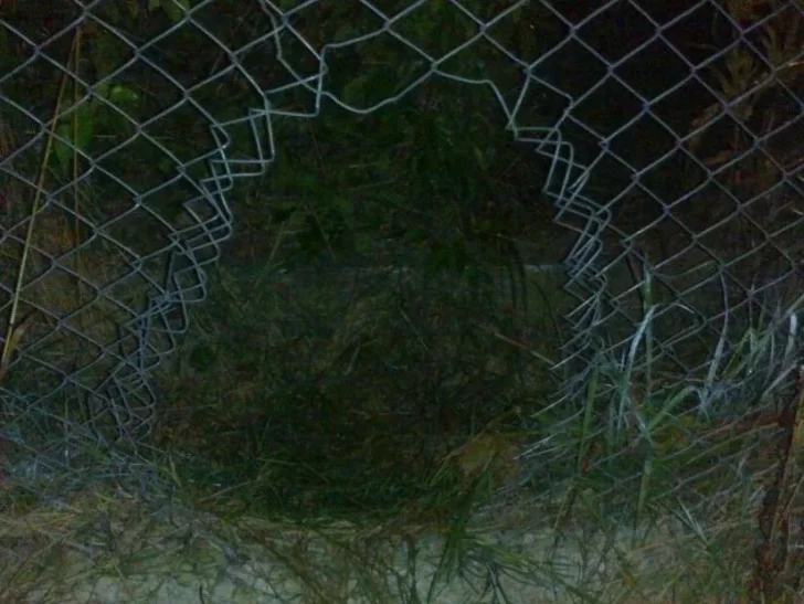 Rompió un alambrado y robó hierro: deberá pagar una multa y hacer tareas comunitarias Rompió un alambrado y robó hierro: deberá pagar una multa y hacer tareas comunitarias