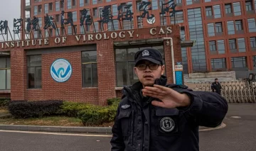 Un estudio chino descartó la teoría del escape del Covid-19 de un laboratorio : “Se originó en un murciélago” Un estudio chino descartó la teoría del escape del Covid-19 de un laboratorio : “Se originó en un murciélago”