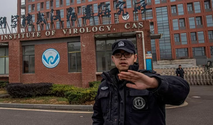Un estudio chino descartó la teoría del escape del Covid-19 de un laboratorio : “Se originó en un murciélago” Un estudio chino descartó la teoría del escape del Covid-19 de un laboratorio : “Se originó en un murciélago”