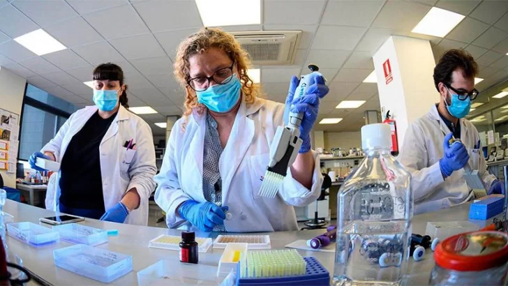 Universidad de Yale: una droga demostró in vitro frenar la progresión del coronavirus Universidad de Yale: una droga demostró in vitro frenar la progresión del coronavirus