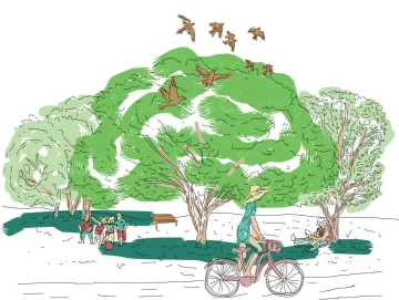 Ciudades con nuevas miradas Ciudades con nuevas miradas