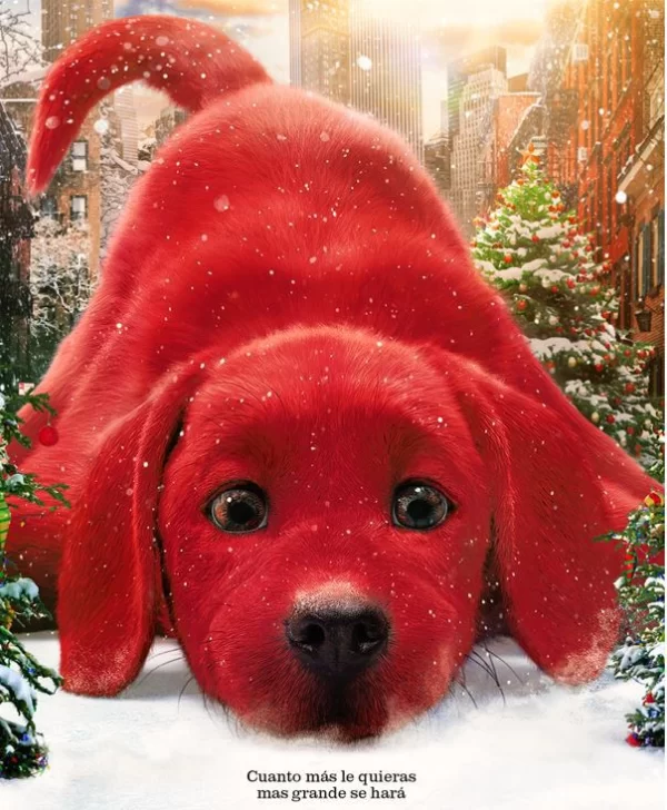 Un puñado variopinto Un puñado variopinto