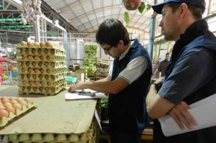 Ahora decomisaron más de 15.000 huevos en el Mercado Concentrador de Rawson