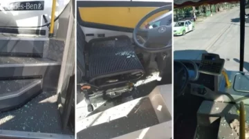 Chofer atropelló y mató a un perrito y sus dueños le destrozaron el colectivo Chofer atropelló y mató a un perrito y sus dueños le destrozaron el colectivo