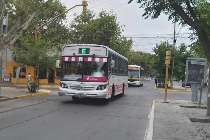 Entre dudas, caminatas y fluido movimiento de micros, la gente ya usa la Red Tulum
