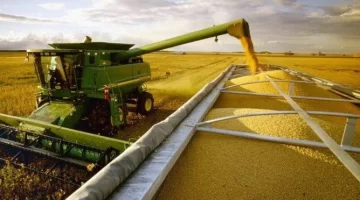 Se derrumba el precio de la soja y no para