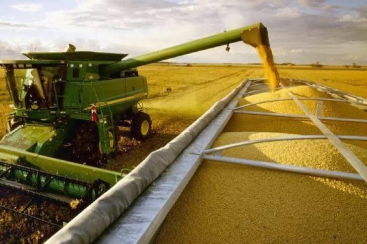 Se derrumba el precio de la soja y no para