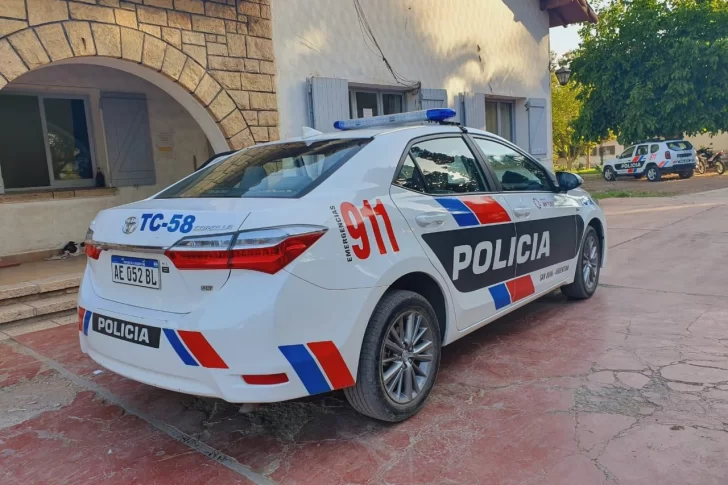 Denunciado por violencia de género, la policía lo encontró con una planta de marihuana