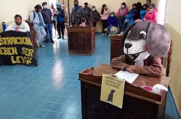 Debían tratar un proyecto para castración de perros y una consejala ¡se disfrazó de perro! Debían tratar un proyecto para castración de perros y una consejala ¡se disfrazó de perro!