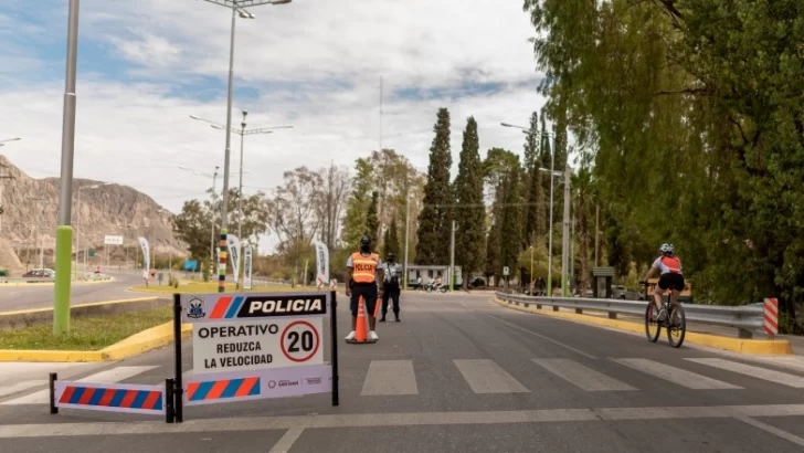 En cuatro días radiaron casi 100 vehículos en los controles del Operativo Verano