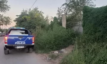 Escalofriante hallazgo de un bebé muerto adentro de un bolso en un descampado Escalofriante hallazgo de un bebé muerto adentro de un bolso en un descampado