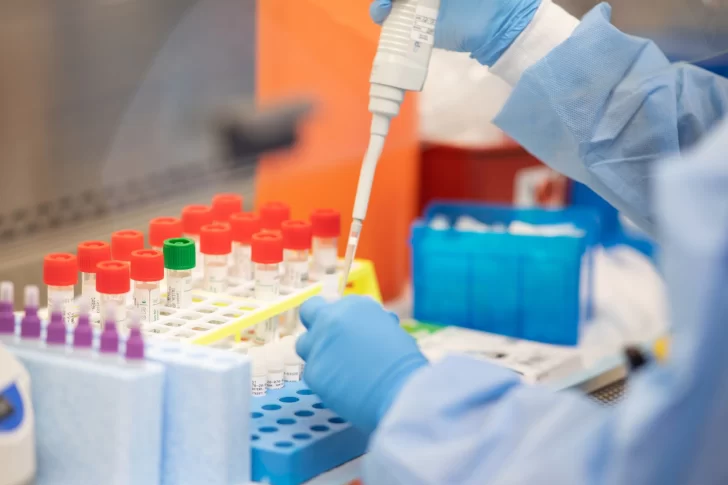 Un estudio científico determinó cuánto dura la inmunidad de los que ya tuvieron coronavirus