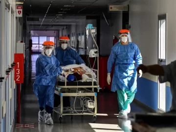 Reportaron 167 muertos y 16.950 nuevos contagios de coronavirus en Argentina Reportaron 167 muertos y 16.950 nuevos contagios de coronavirus en Argentina