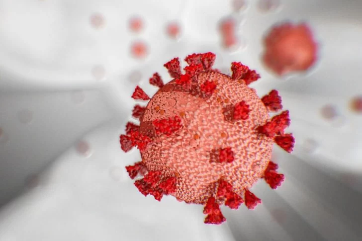 Qué es el “efluvio telógeno”, el nuevo síntoma de la variante Ómicron de coronavirus