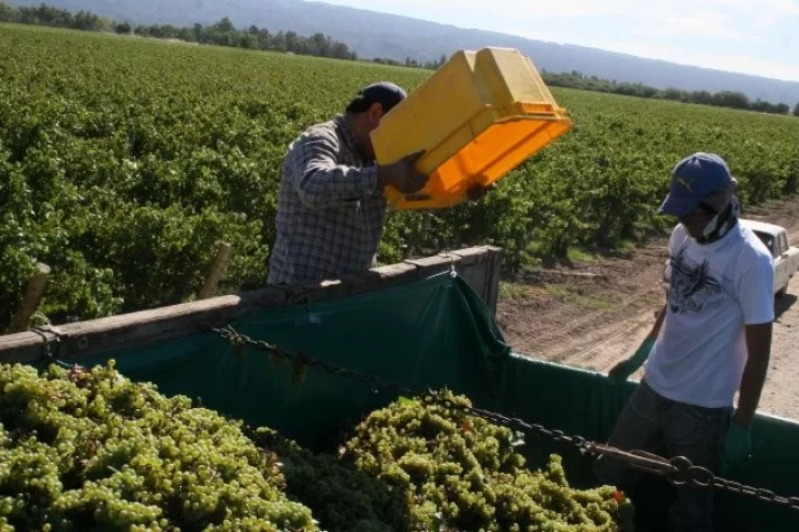 Enterate cómo acceder a los nuevos créditos para cosecha y elaboración agrícola
