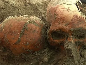 Trabajaban en la construcción y encontraron un cráneo: estudian la antigüedad de los restos