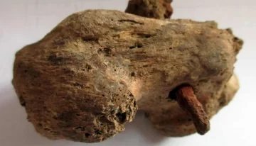 Descubren una crucifixión romana que sería la mejor conservada del mundo Descubren una crucifixión romana que sería la mejor conservada del mundo