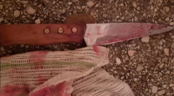 Discutió con su ex marido y lo degolló con un cuchillo de carnicero Discutió con su ex marido y lo degolló con un cuchillo de carnicero