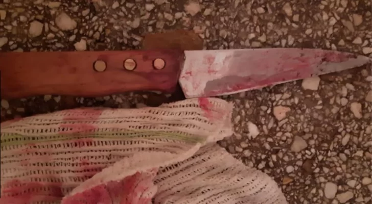 Discutió con su ex marido y lo degolló con un cuchillo de carnicero Discutió con su ex marido y lo degolló con un cuchillo de carnicero