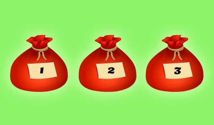 Elegí una bolsa y descubrí cómo será tu 2021 Elegí una bolsa y descubrí cómo será tu 2021