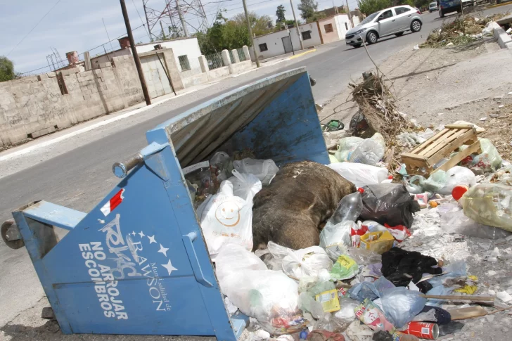 Rawson: el descuento por paros generó una nueva puja entre la comuna y ediles