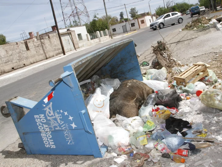 Rawson: el descuento por paros generó una nueva puja entre la comuna y ediles Rawson: el descuento por paros generó una nueva puja entre la comuna y ediles