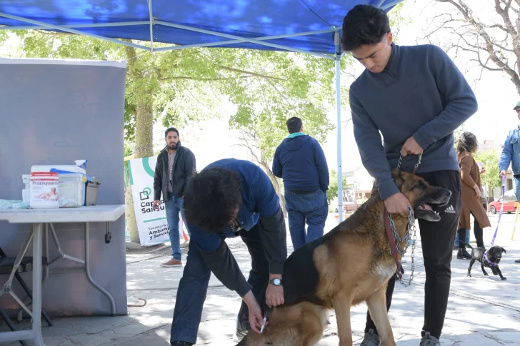 Los vecinos calificaron con un 10 la feria itinerante para las mascotas