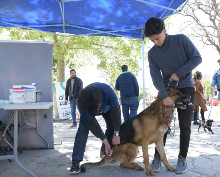 Los vecinos calificaron con un 10 la feria itinerante para las mascotas