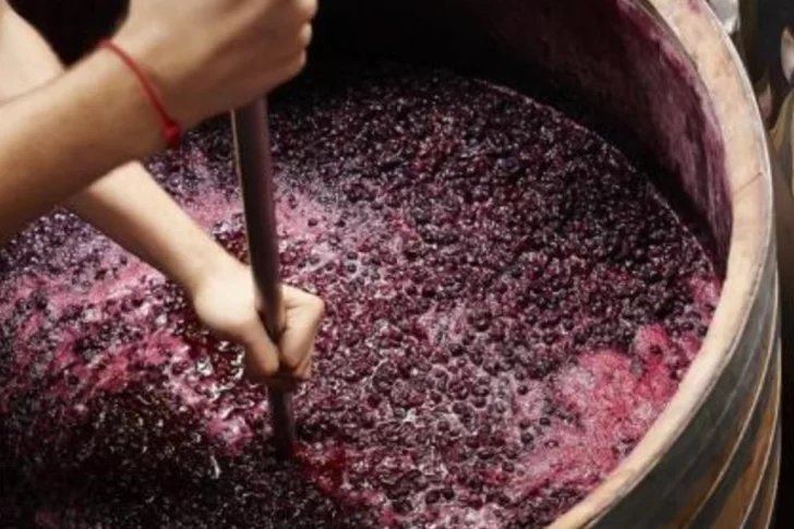 Firmas elaboradoras van a apelar el fallo de EEUU contra el mosto