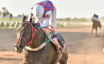 Sanjuaninazo en San Luis