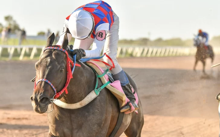 Sanjuaninazo en San Luis