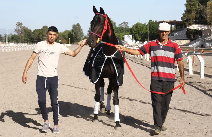 Un caballo que pinta para crack
