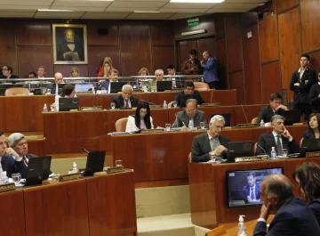 El PJ y aliados bajaron una ley con 26 votos y hoy saldrá el Código Electoral