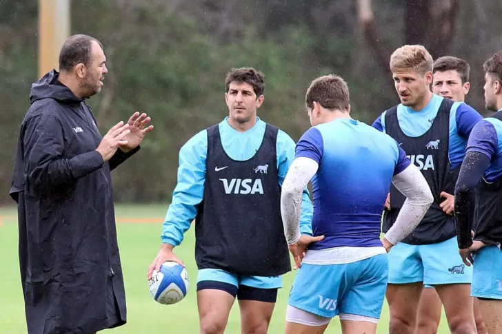 Los Pumas tendrían, al menos, seis variantes