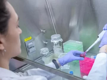 Detectan bocavirus que provoca infecciones respiratorias graves Detectan bocavirus que provoca infecciones respiratorias graves